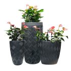 FLOW ANTRACIT SZÍNŰ, PRÉMIUM ESŐVÍGYŰJTŐ 240 LITERES 3/4-ES CSAPPAL