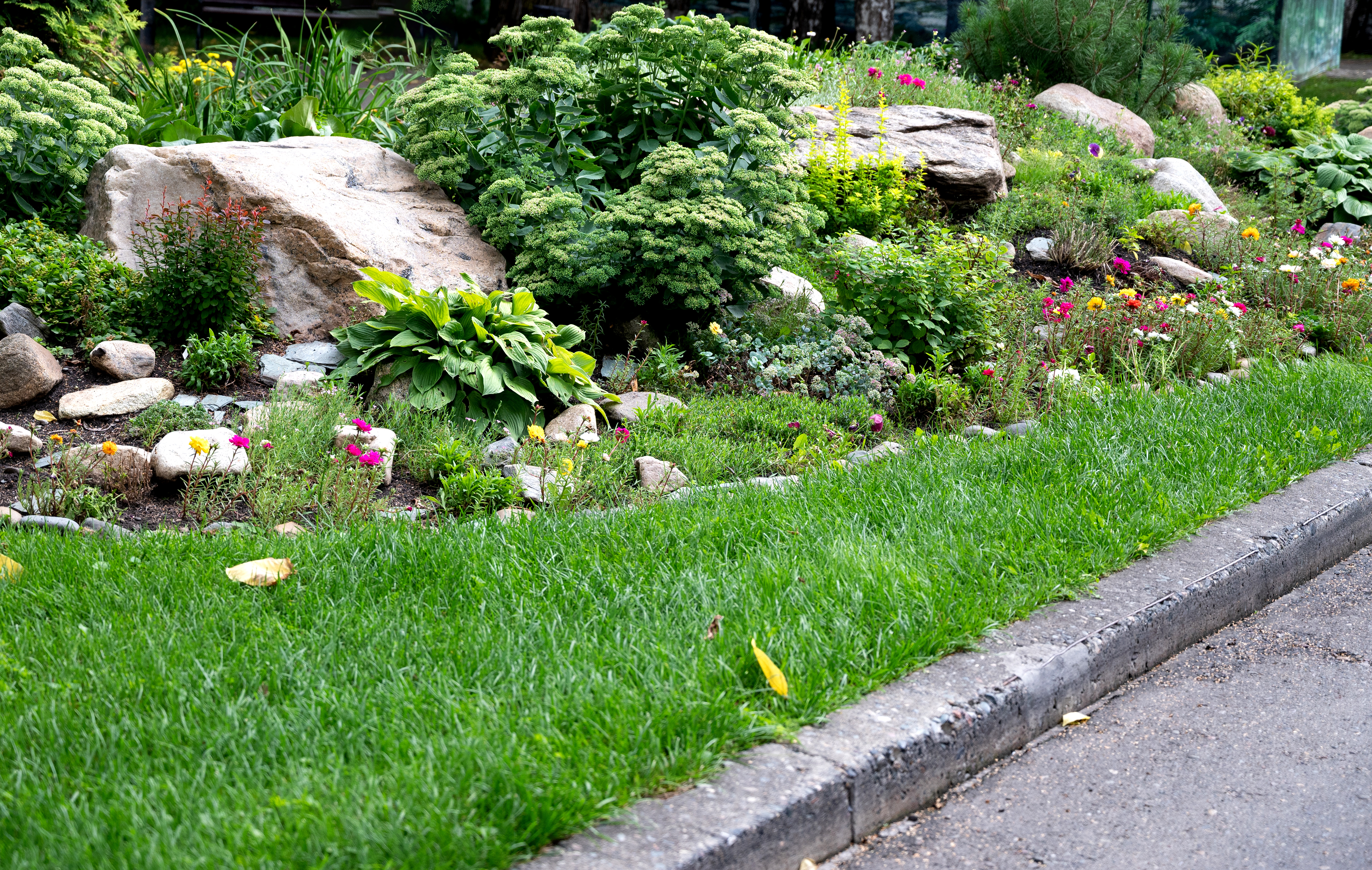 Sziklakert építés – így varázsolj a kertedbe hegyvidéki hangulatot